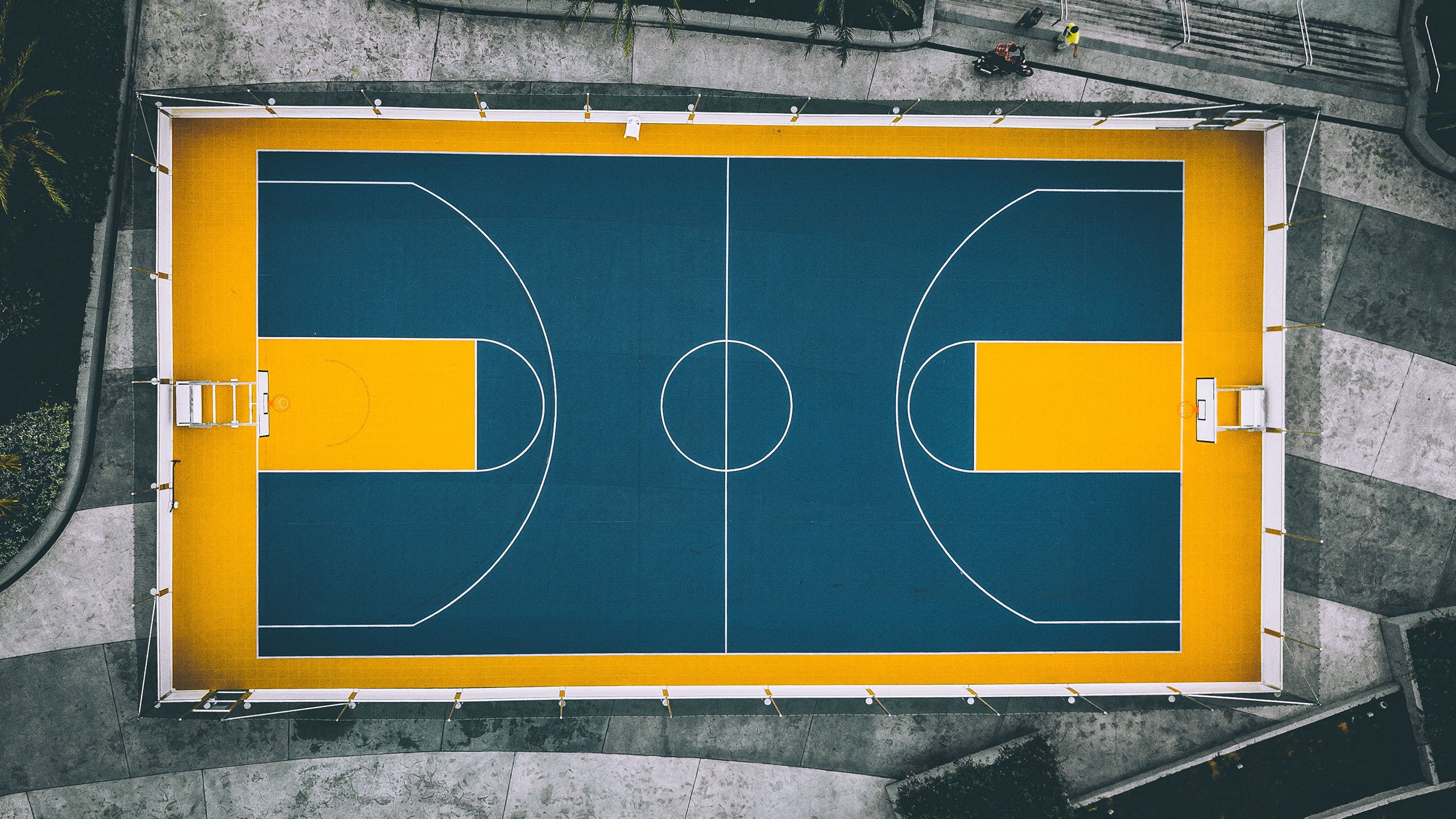 绝杀之夜与火热之心，当樊振东的孤勇，撞上日本队的唯一瞬间